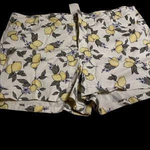 🔥💲18 SONOMA LEMON 🍋 FLORAL SHORTS$